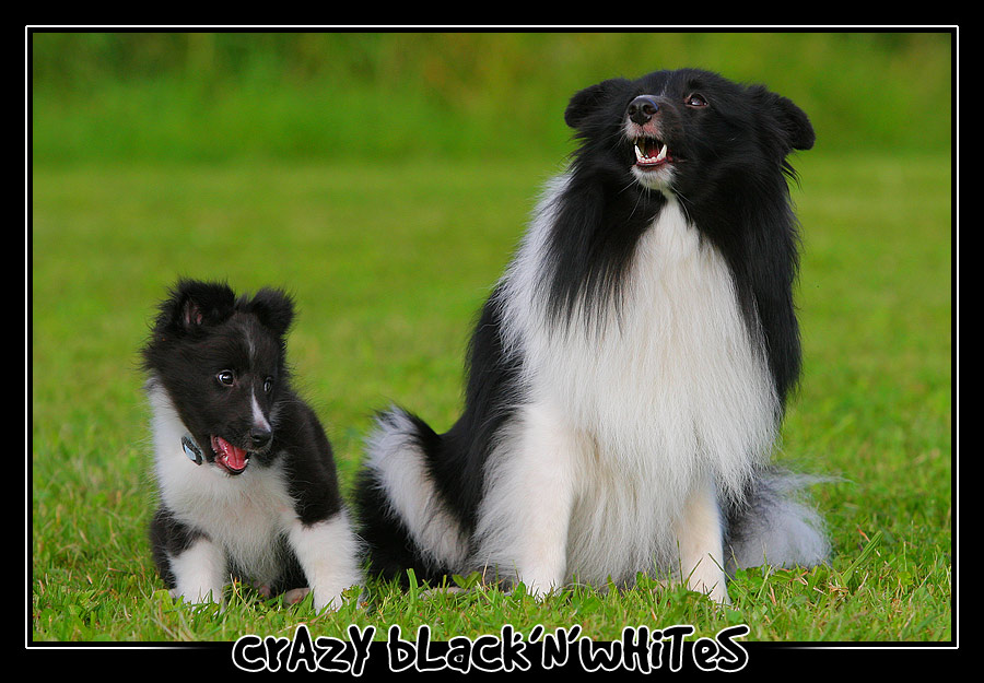 *** Crazy Black'n'Whites ***