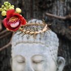 Crazy Flower & Buddha