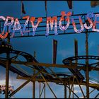 crazy mouse