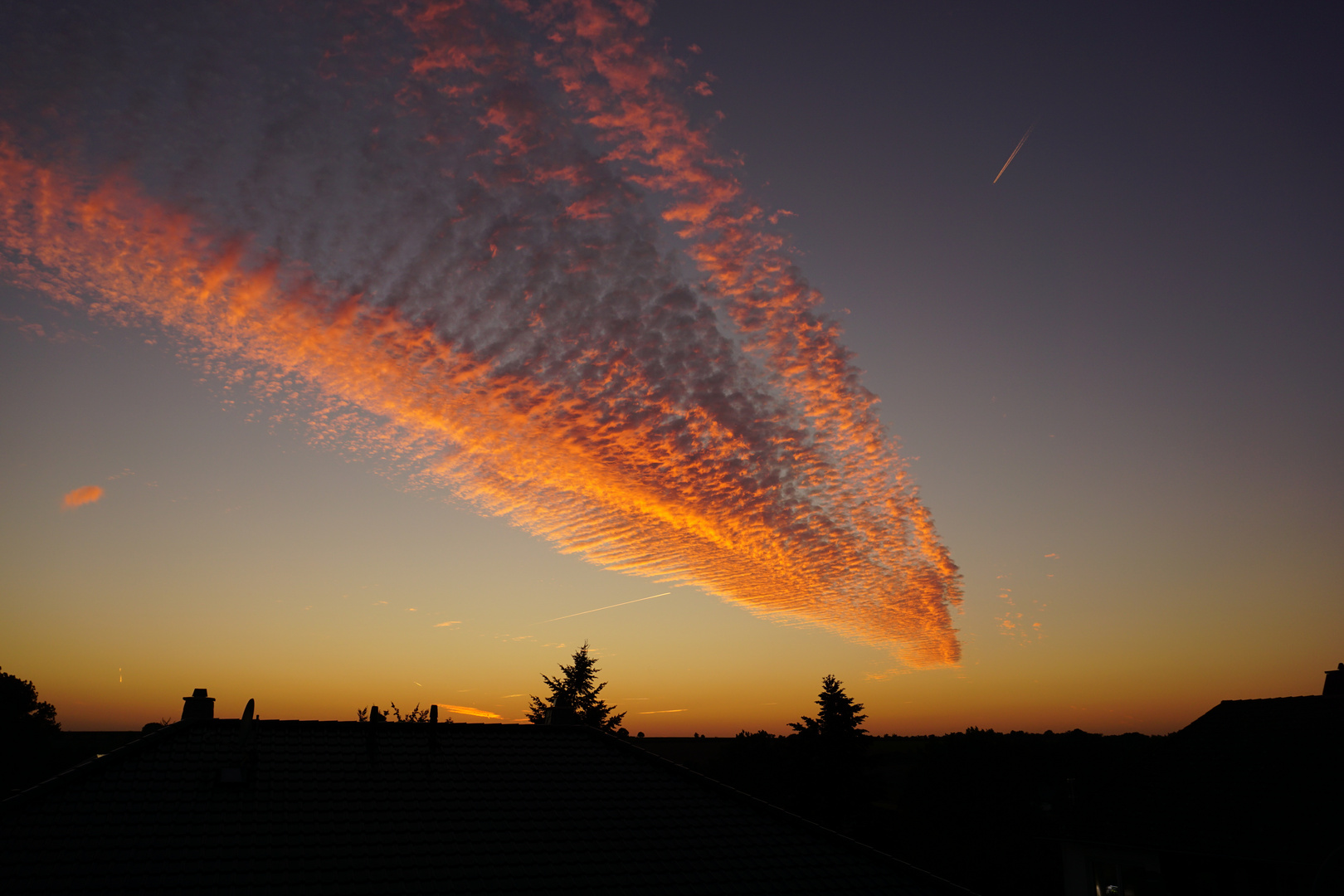 Crazy Red Cloud