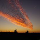 Crazy Red Cloud