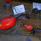 Création artistique au marché de Béziers