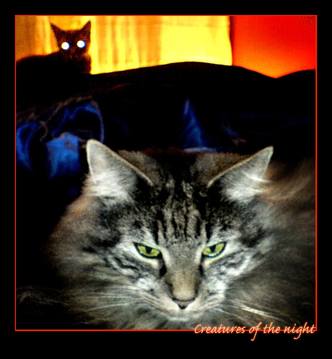 creatures of the night