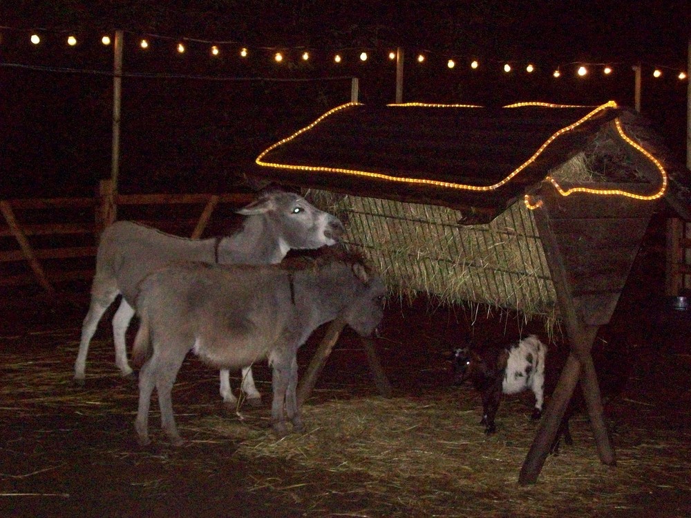 Crèche au marché de Noel à Kleve