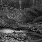 Creek and Grass