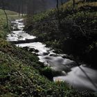 creek at moonlight