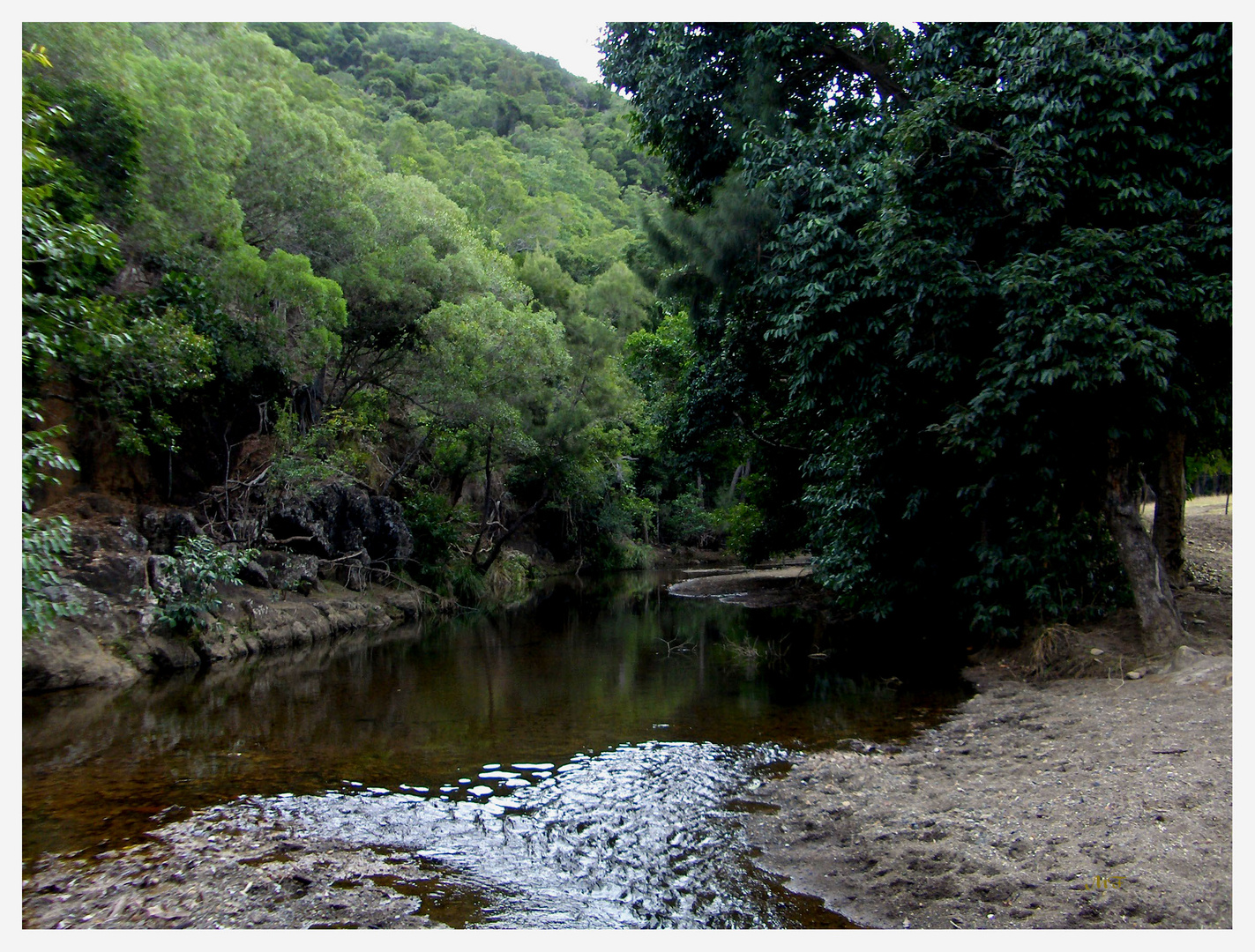 Creek en brousse