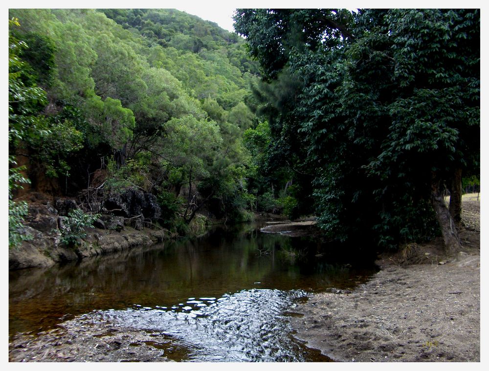 Creek en brousse