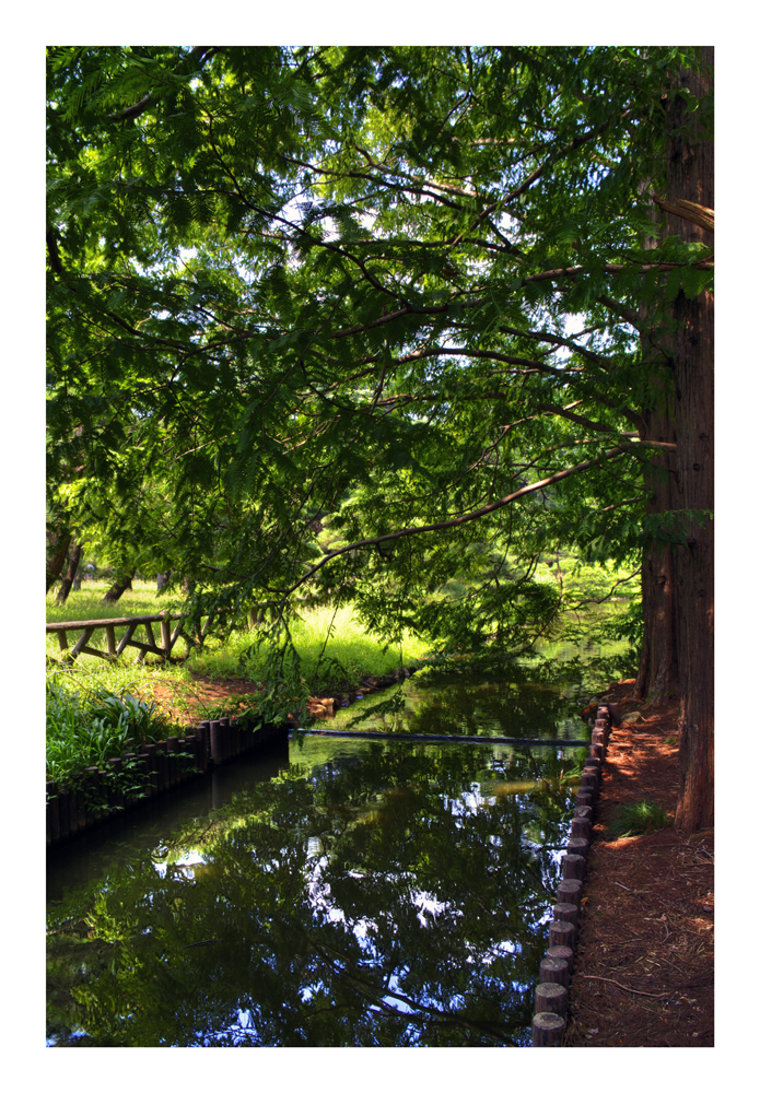 Creek side