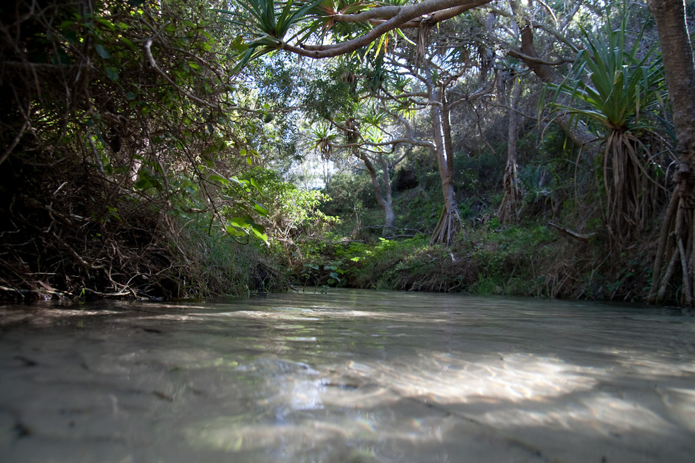 Creepy Creek