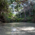 Creepy Creek