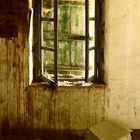 Creepy old window