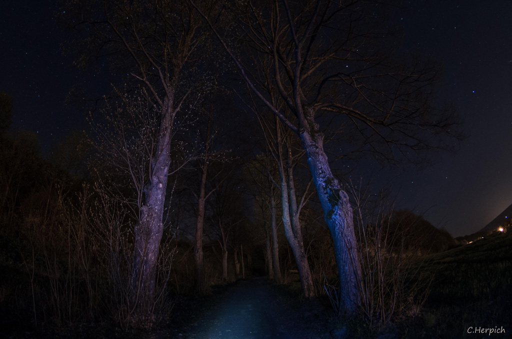 creepy road