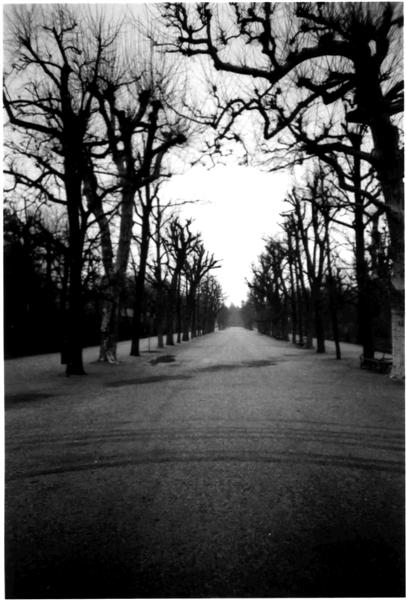 Creepy Schönbrunn