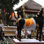 Cremation Ceremony II