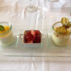 Creme Brülle und Panacotta