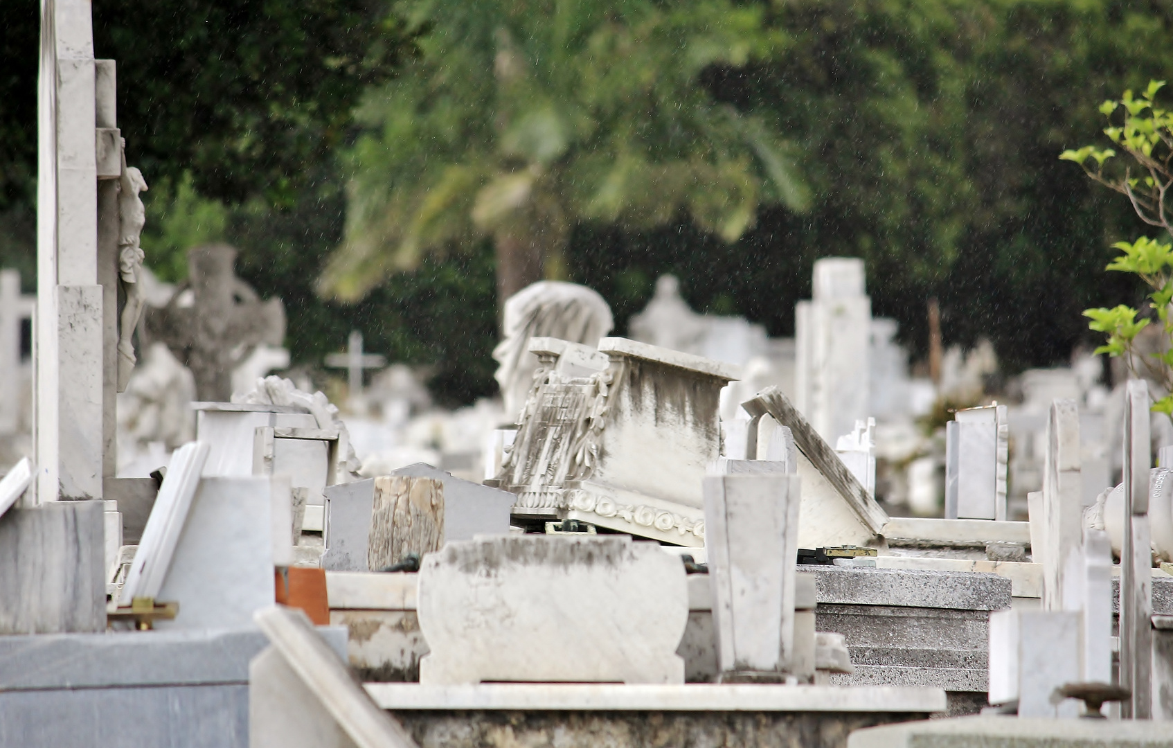 Crementerio Cristobal Colon