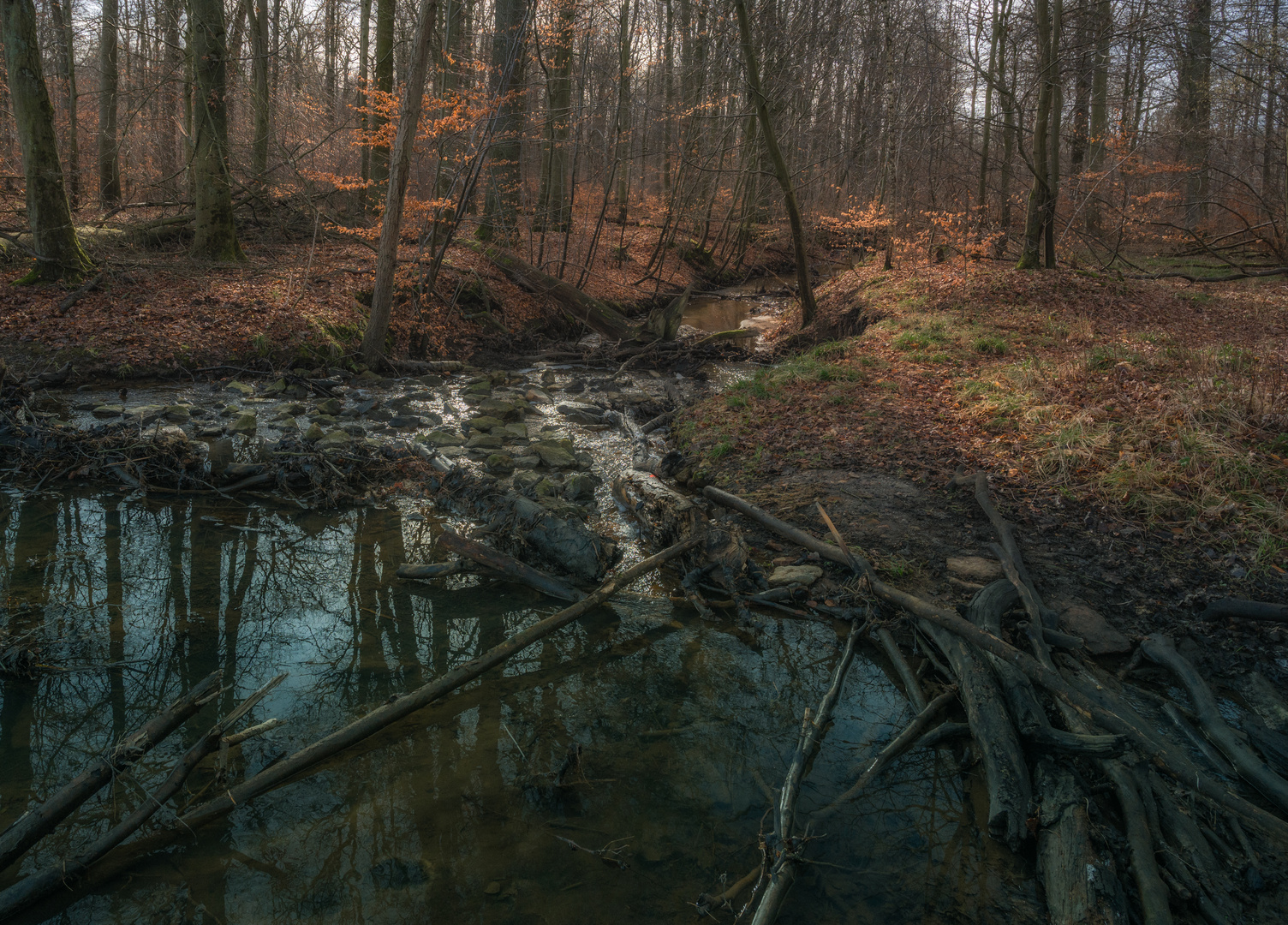 Cremlinger Bach im Winterlicht