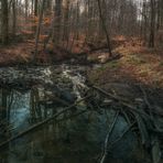 Cremlinger Bach im Winterlicht