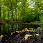 Cremlinger Bach in den Herzogsbergen