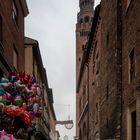 Cremona, centro storico