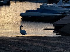 Crepuscolo dal porto