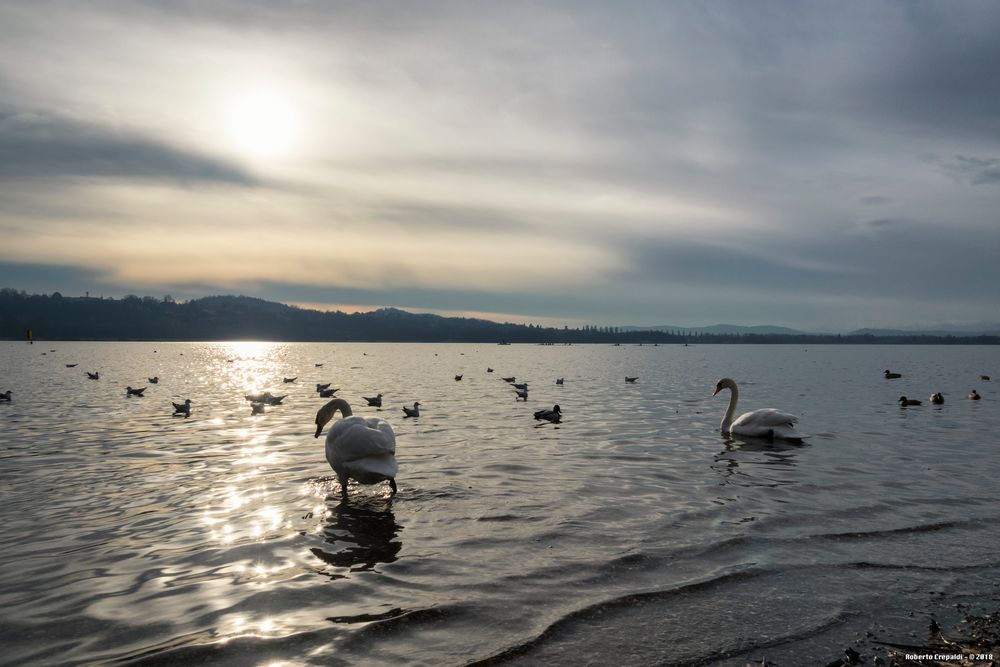 Crepuscolo, lago di Varese