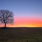 Crepuscolo nel solstizio d'inverno