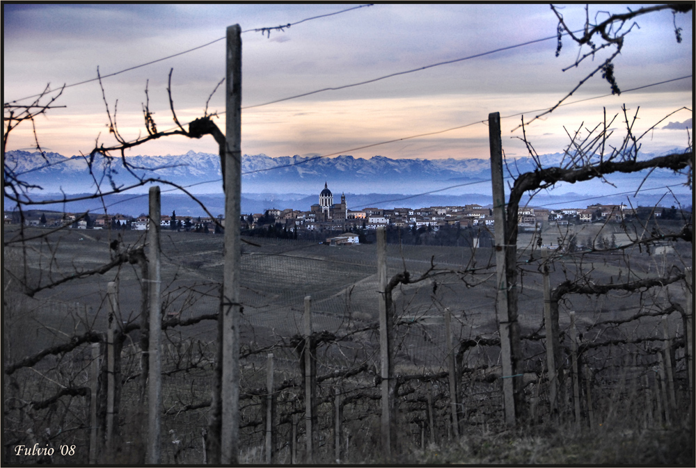 Crepuscolo tra  i filari