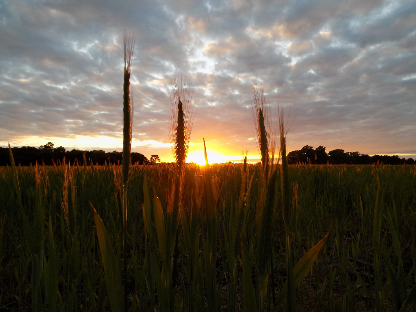 Crépuscule