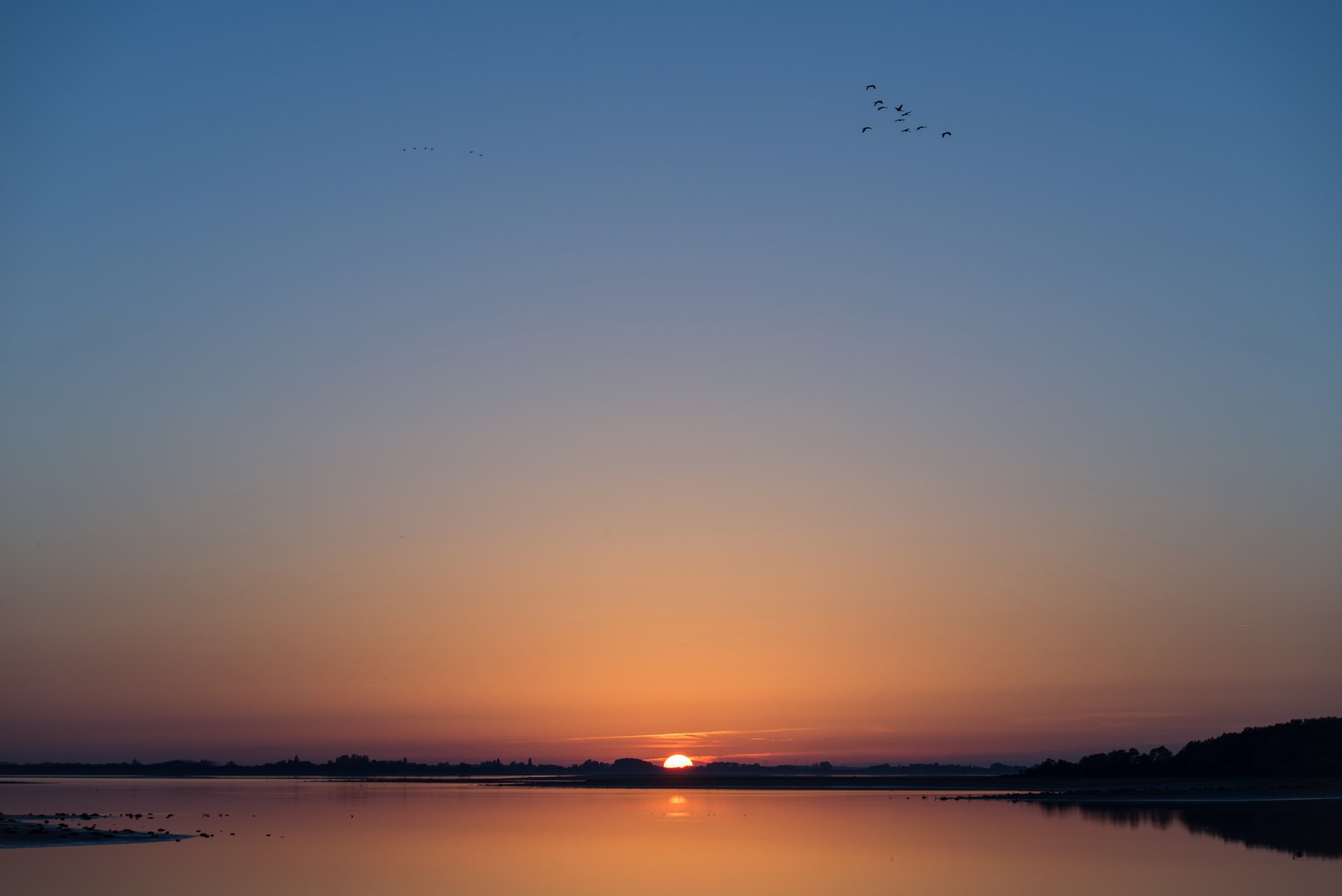 Crépuscule au lac du Der