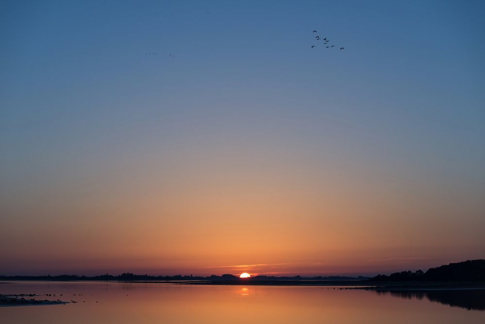 Crépuscule au lac du Der