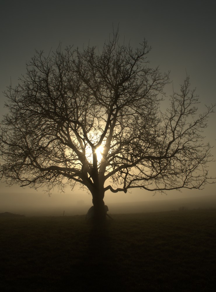 Crépuscule brumeux..