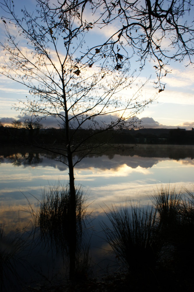 crépuscule d'automne