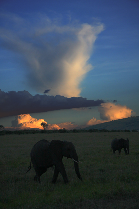 CREPUSCULE DES DIEUX ?