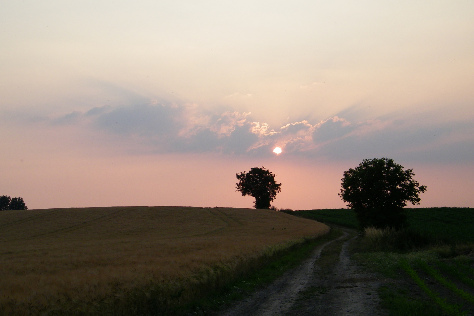 Crépuscule d'hiver ...