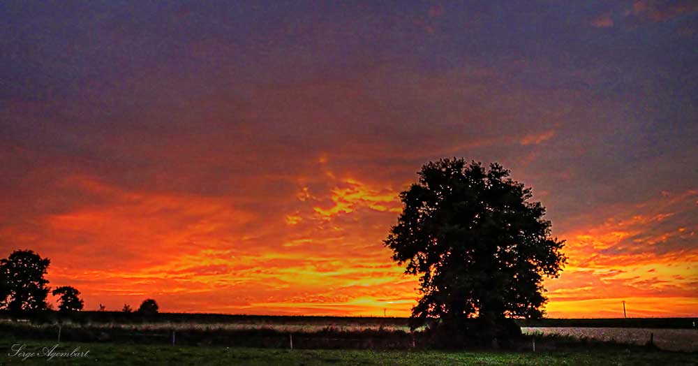 Crépuscule en automne