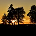 Crépuscule en Haute Belgique