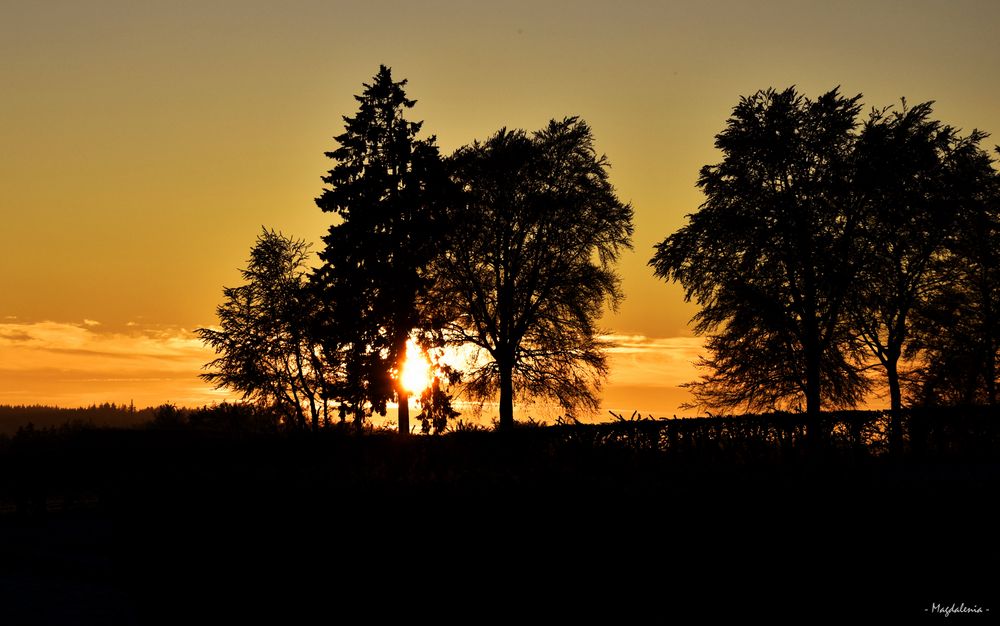 Crépuscule en Haute Belgique