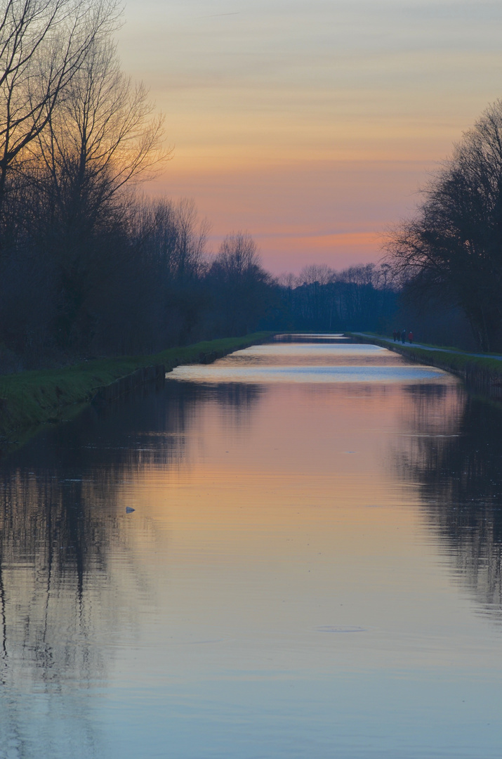 crépuscule en rose