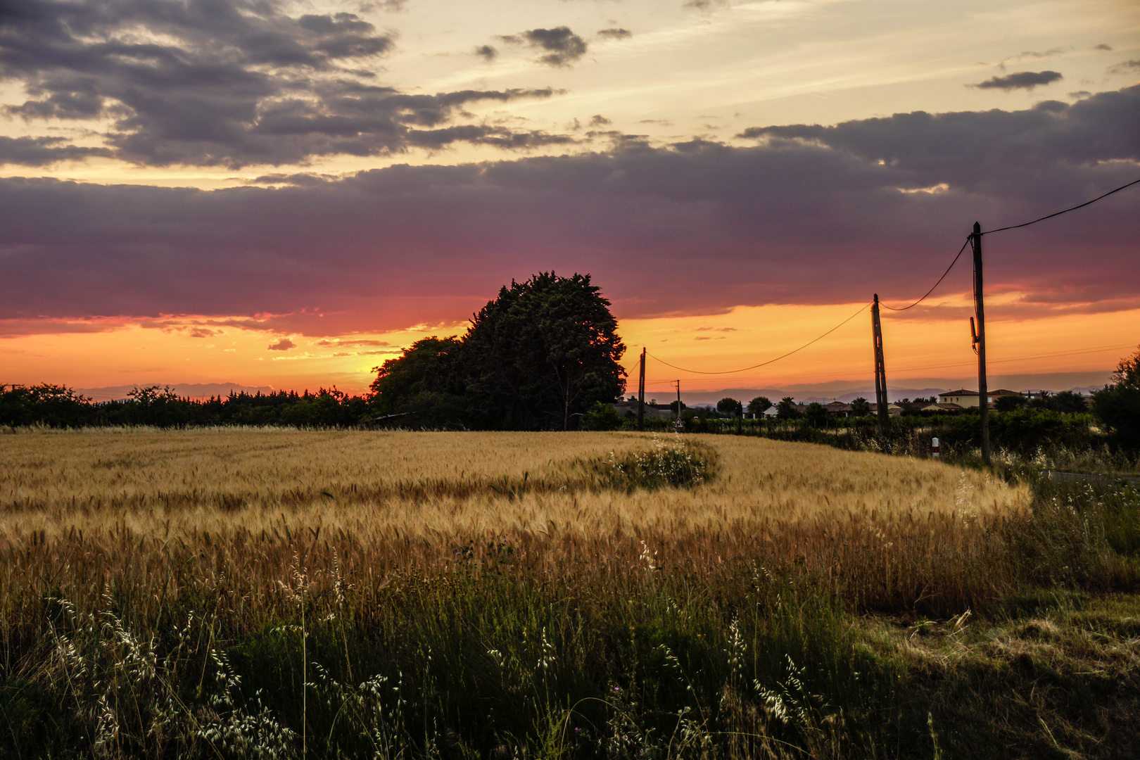 Crépuscule Gardois