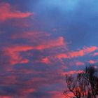 Crépuscule hivernal dans le Gers -- Winterliche Abenddämmerung in dem Gers