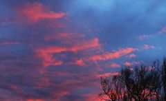 Crépuscule hivernal dans le Gers -- Winterliche Abenddämmerung in dem Gers