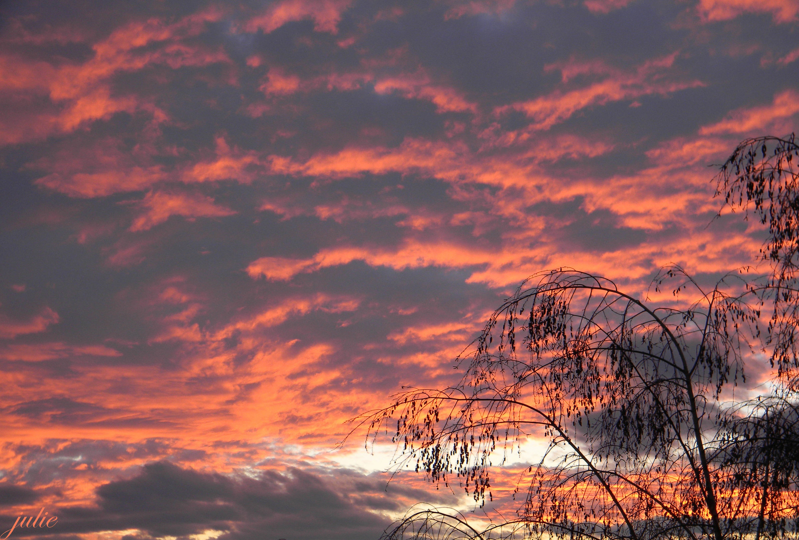 crépuscule hivernal