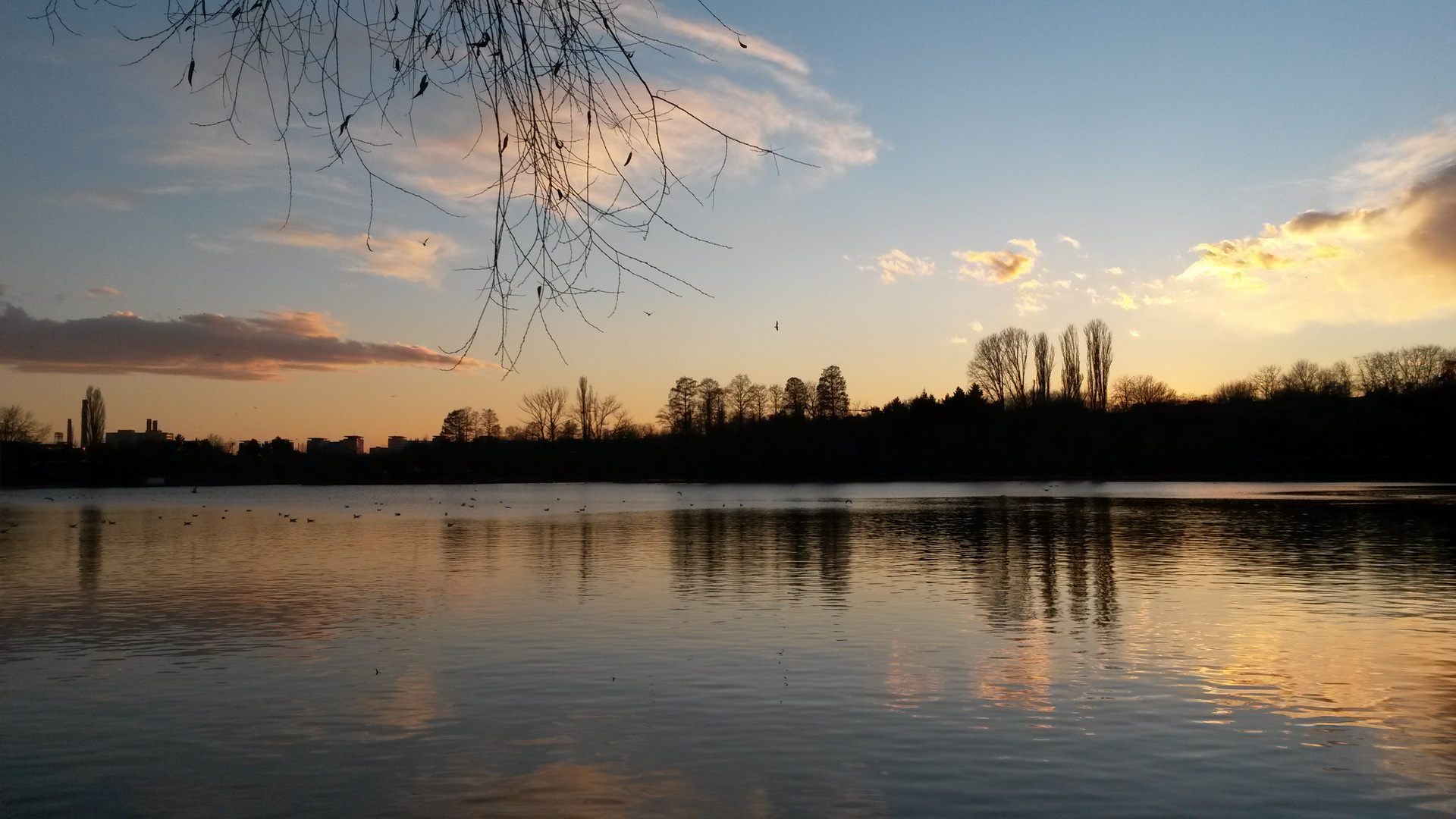 Crepuscule on the lake