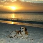 Crépuscule sur la plage d'un atoll