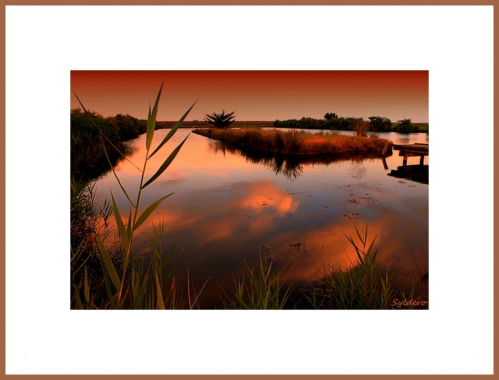 Crépuscule sur le marais