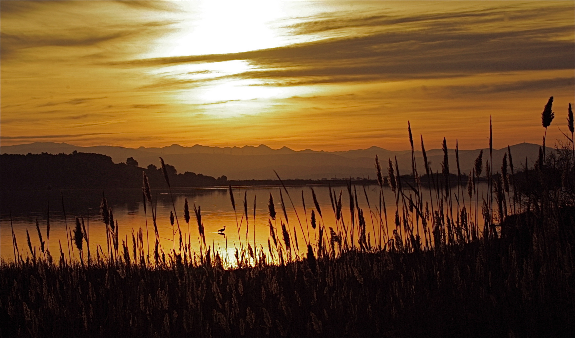 Crépuscule sur l'étang 