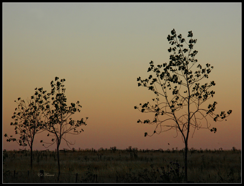 Crepúsculo en calma