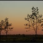 Crepúsculo en calma